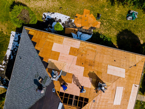 Best Commercial Roofing Services  in Crescent City, FL