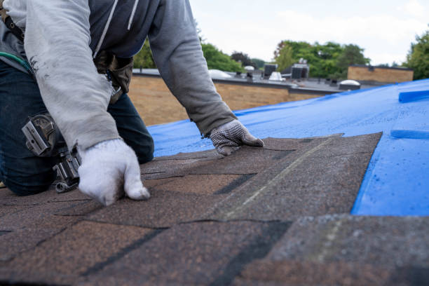 Best Metal Roofing Contractor  in Crescent City, FL
